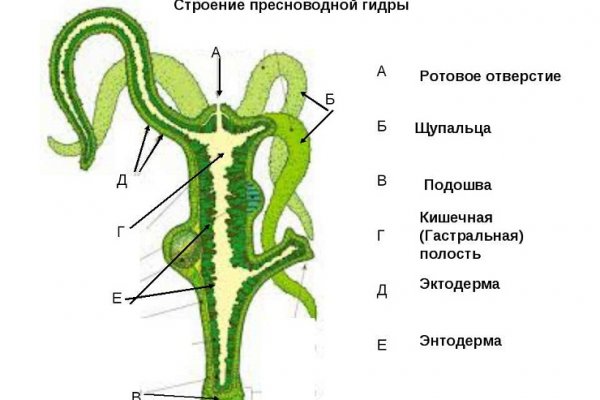 Кракен сайт даркнет ссылка