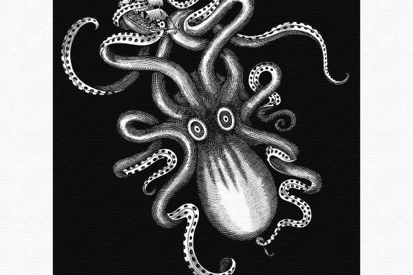 Кракен актуальная ссылка kraken torion net